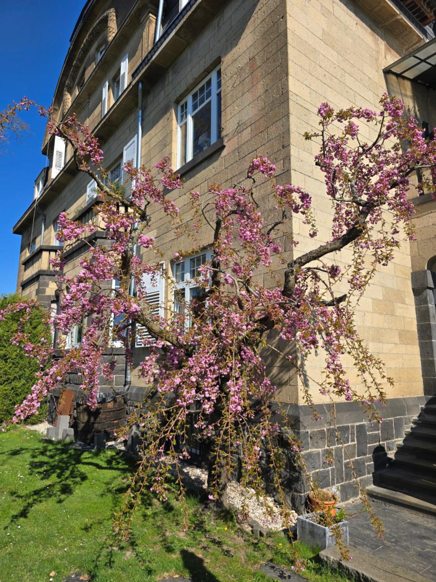 Villa Valerius Kottenheim 외부 사진
